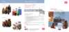 pdf_preview